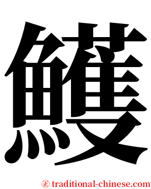 鱯 serif font