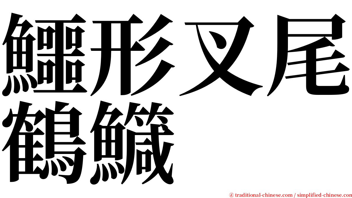 鱷形叉尾鶴鱵 serif font