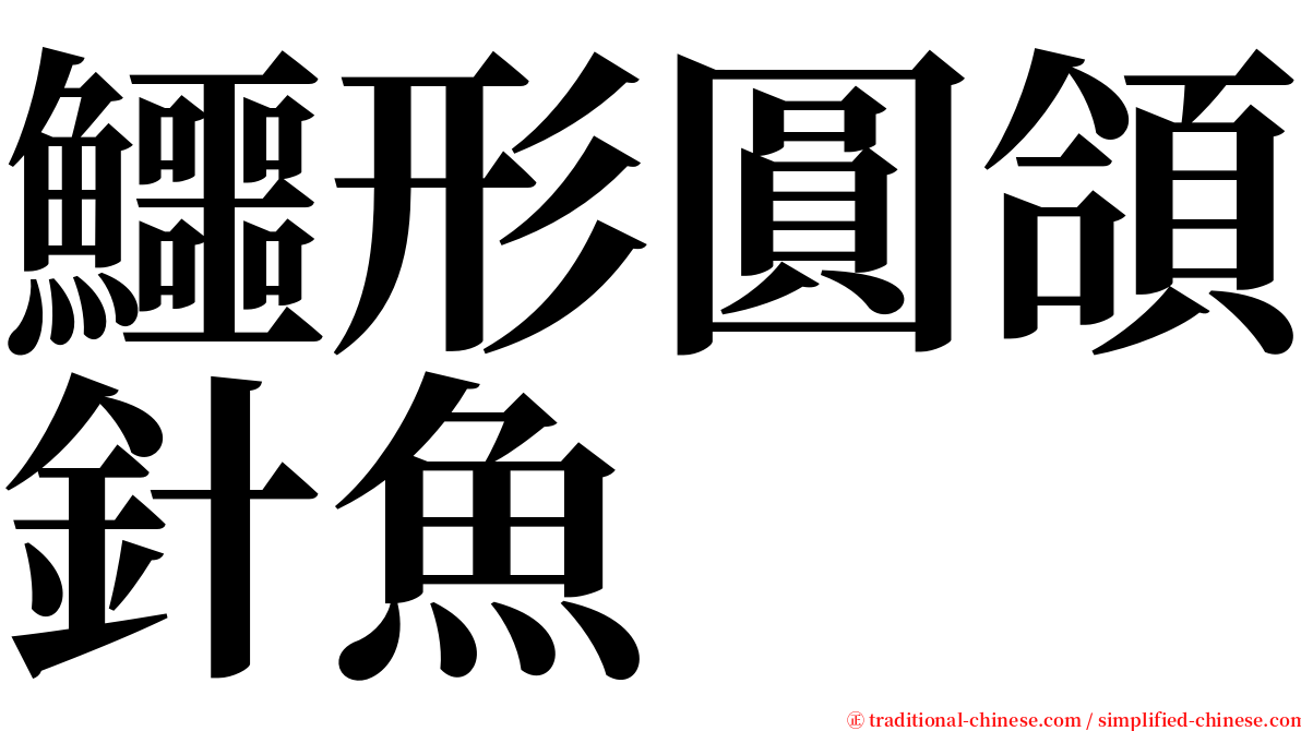 鱷形圓頜針魚 serif font