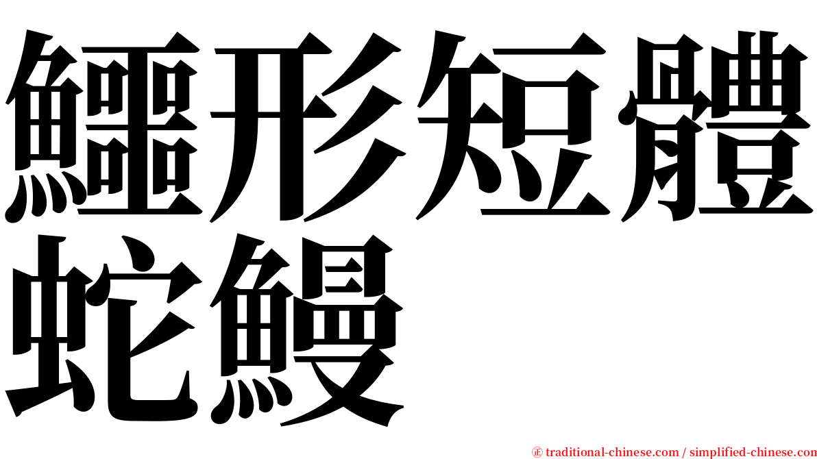 鱷形短體蛇鰻 serif font