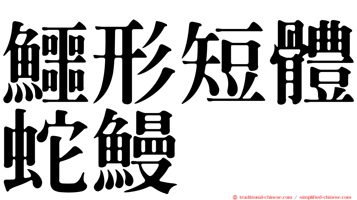 鱷形短體蛇鰻