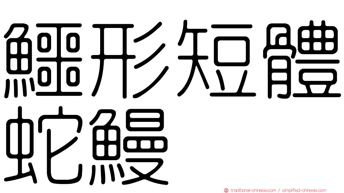 鱷形短體蛇鰻