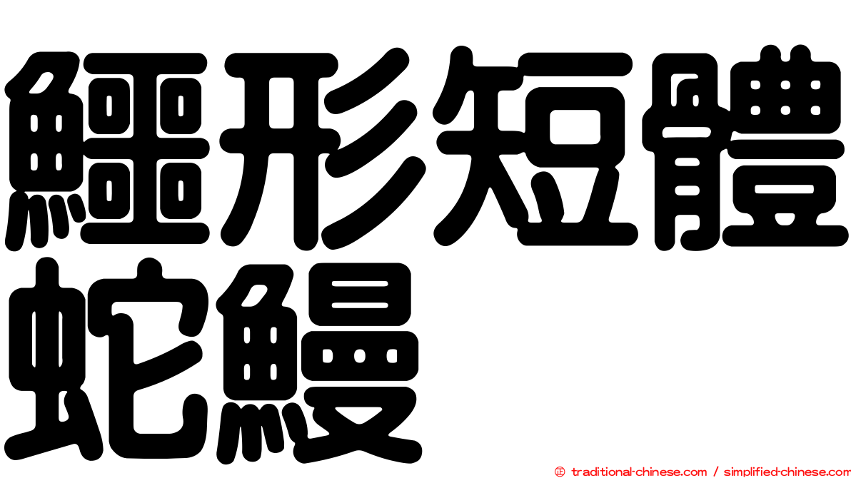 鱷形短體蛇鰻