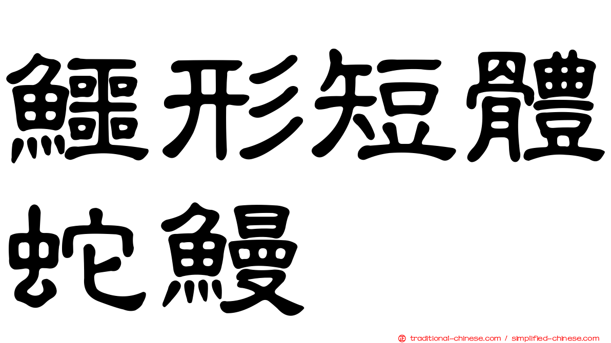 鱷形短體蛇鰻