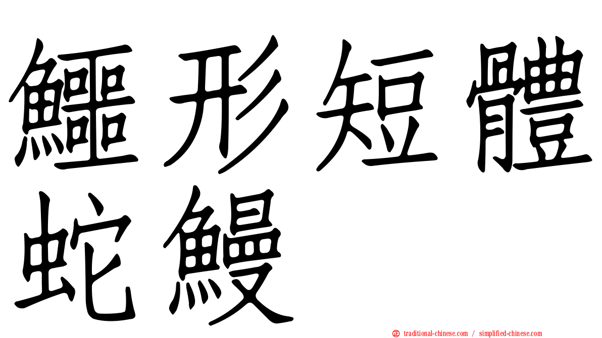 鱷形短體蛇鰻