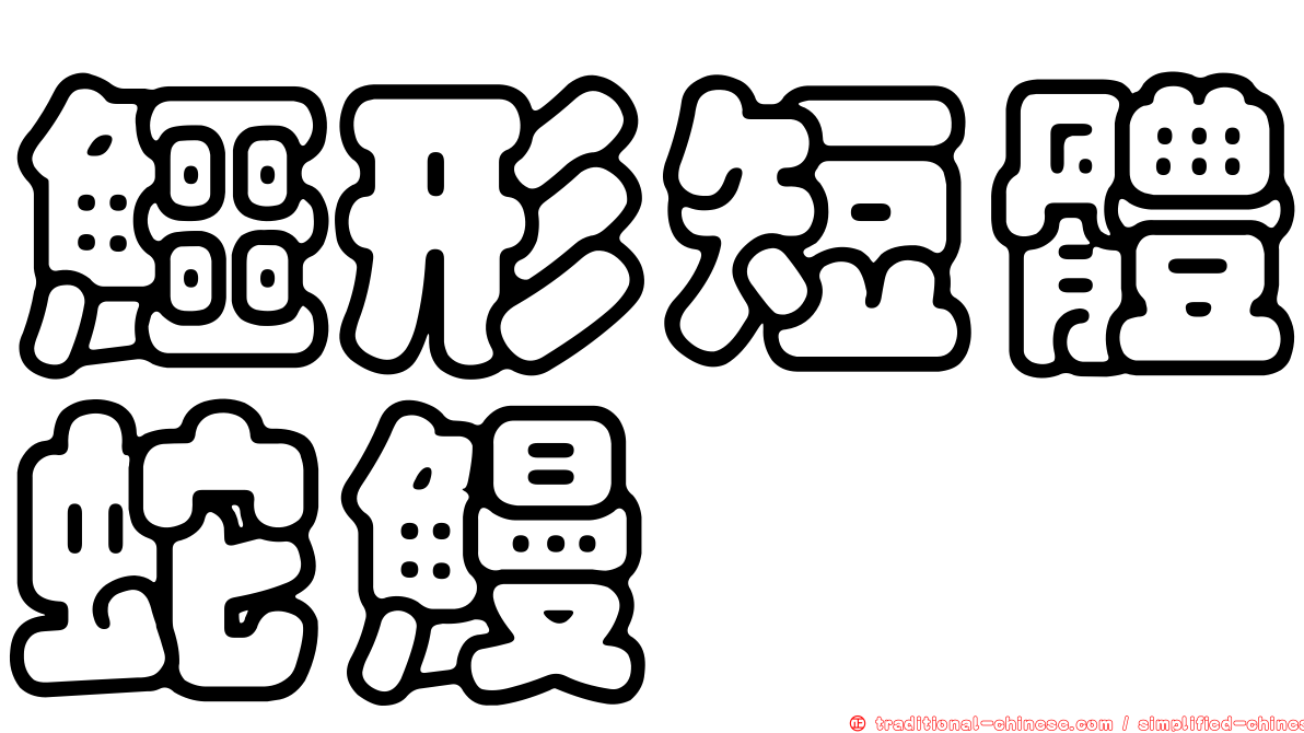 鱷形短體蛇鰻