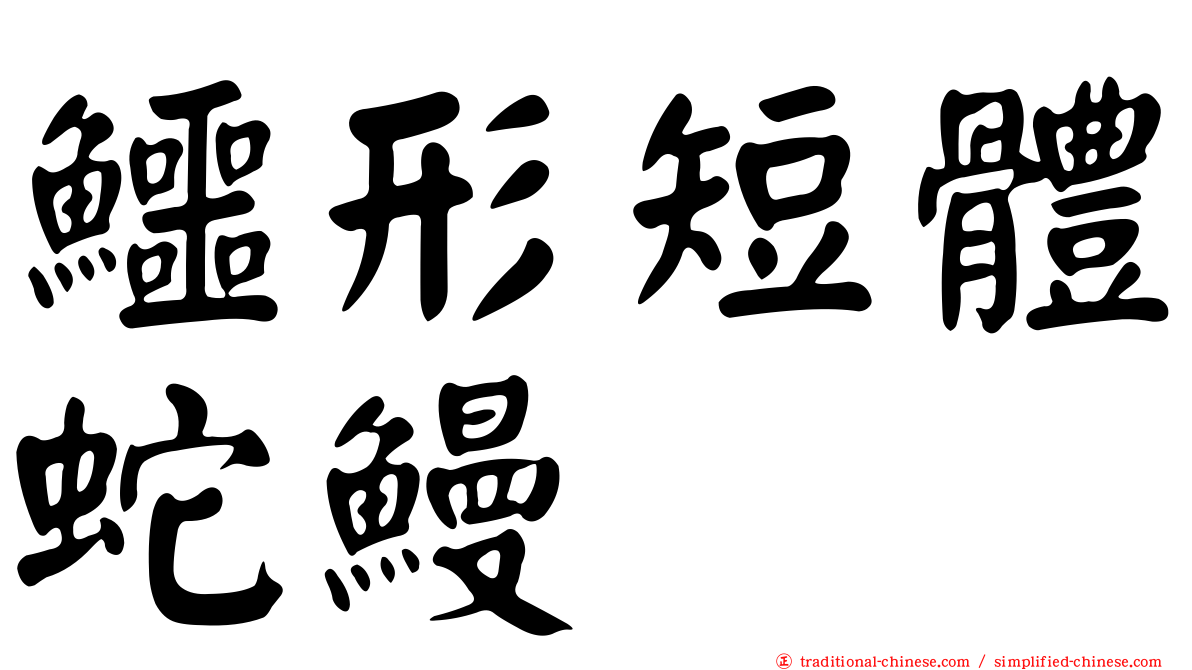 鱷形短體蛇鰻