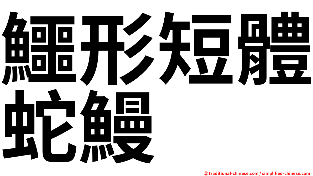 鱷形短體蛇鰻
