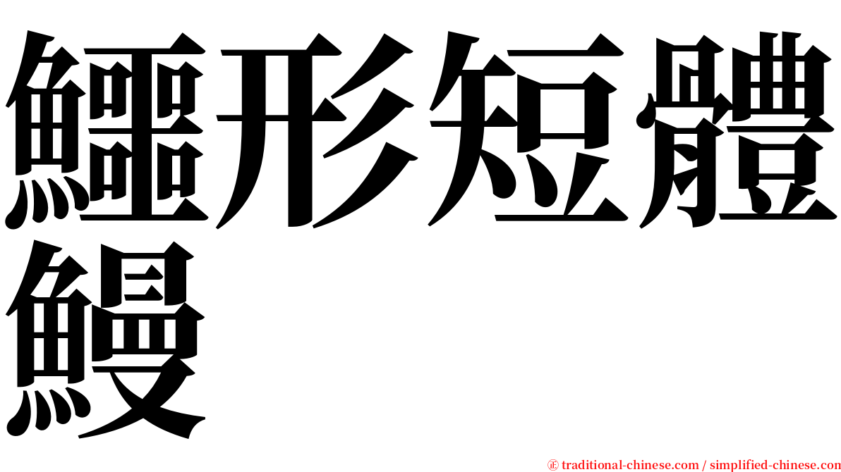 鱷形短體鰻 serif font