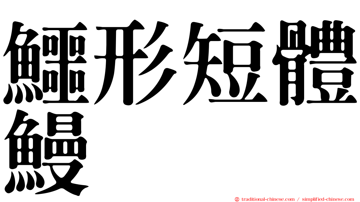 鱷形短體鰻