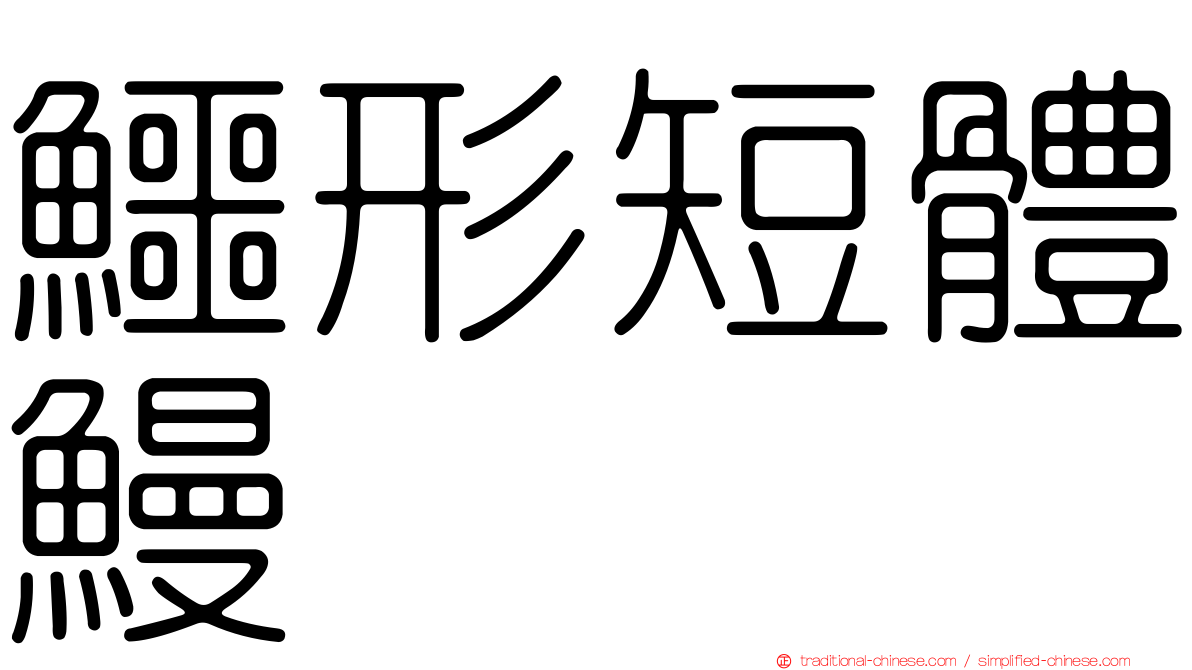 鱷形短體鰻
