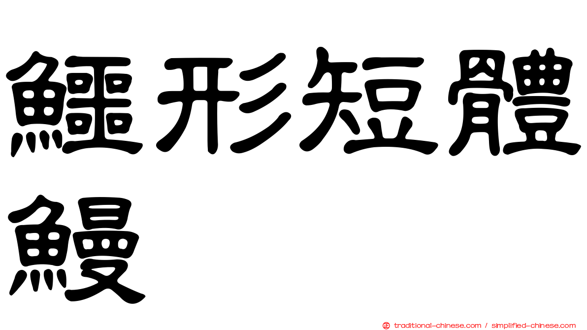 鱷形短體鰻