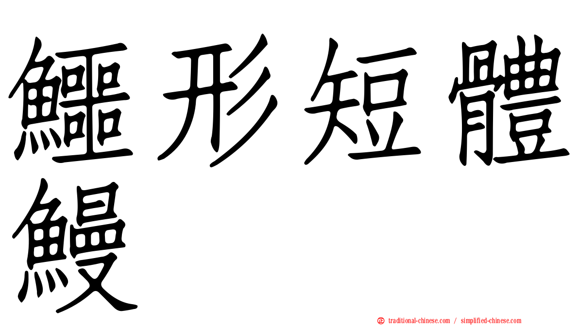 鱷形短體鰻