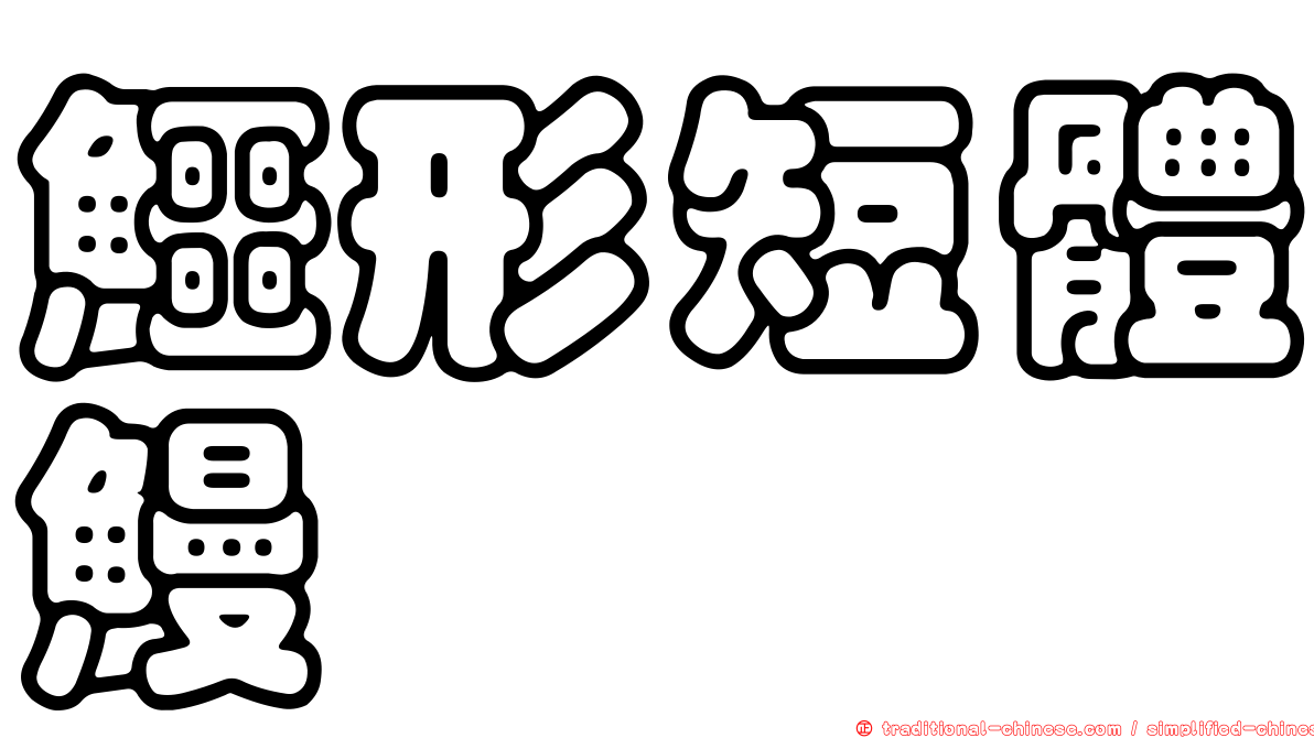 鱷形短體鰻