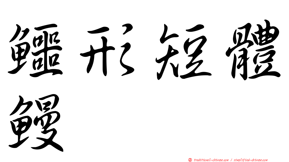 鱷形短體鰻