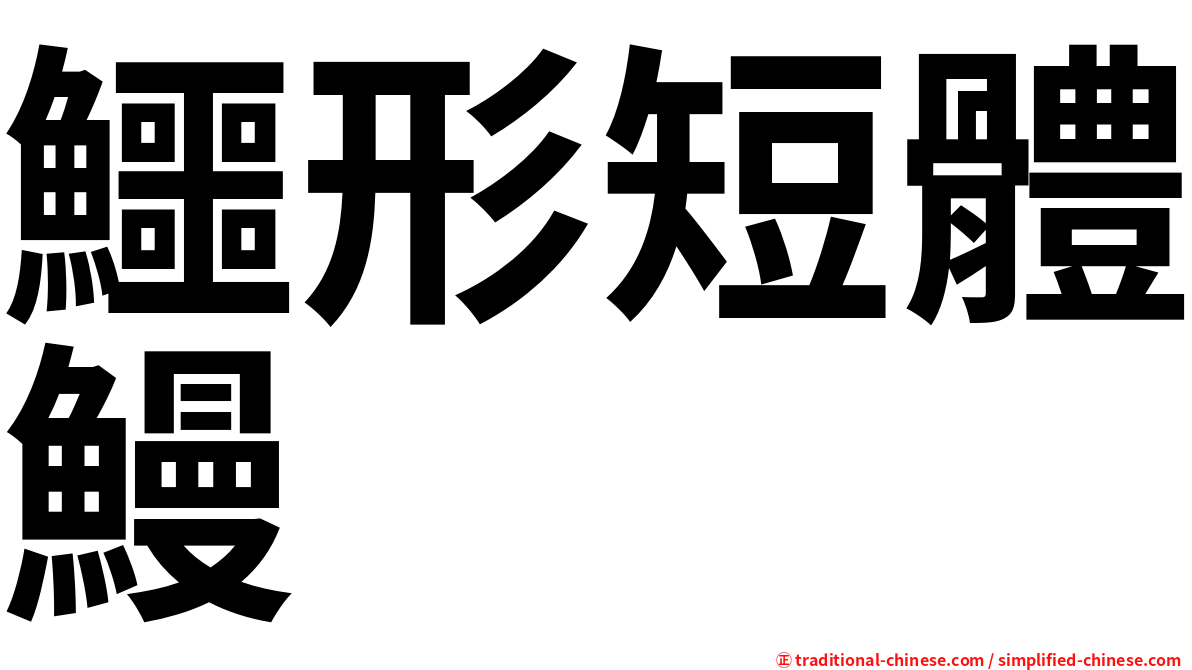 鱷形短體鰻