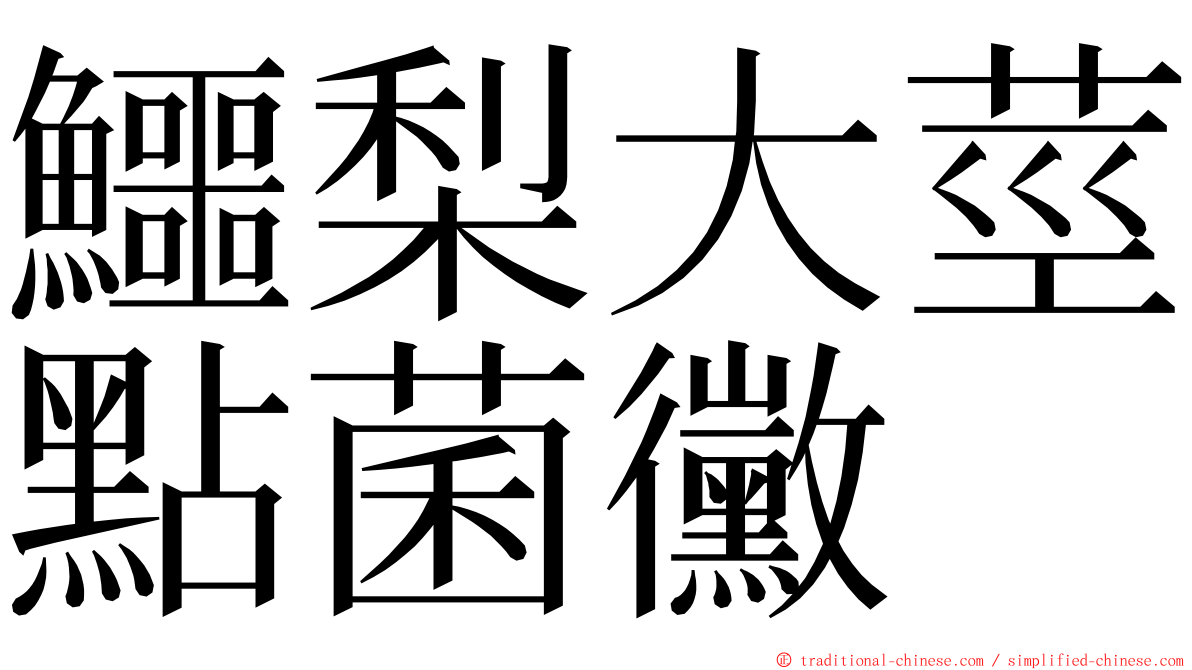 鱷梨大莖點菌黴 ming font