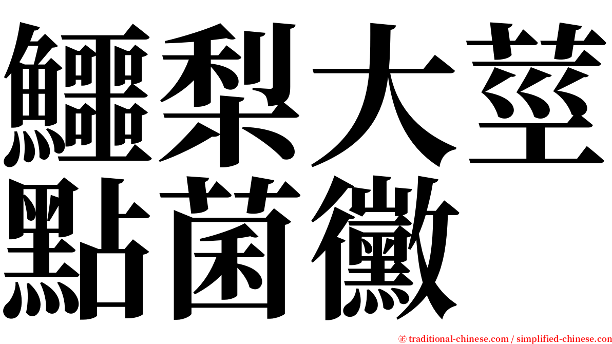 鱷梨大莖點菌黴 serif font