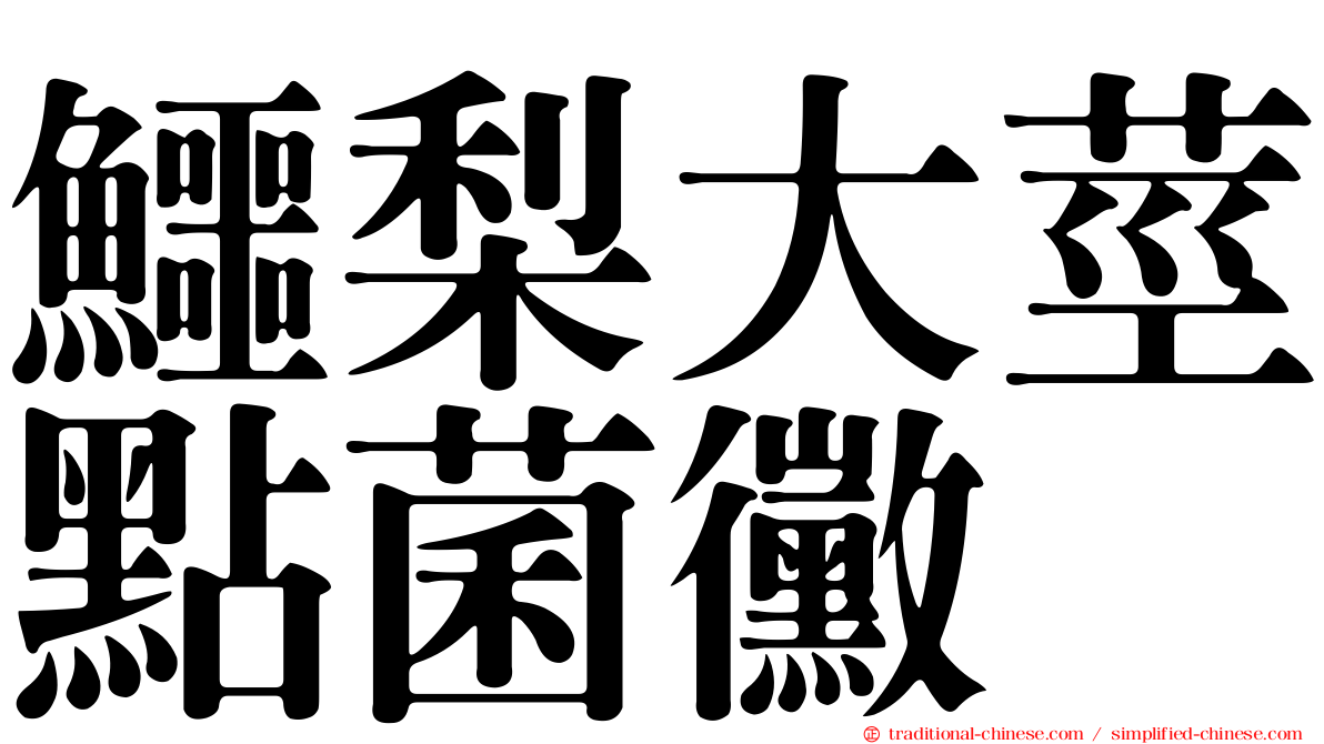 鱷梨大莖點菌黴
