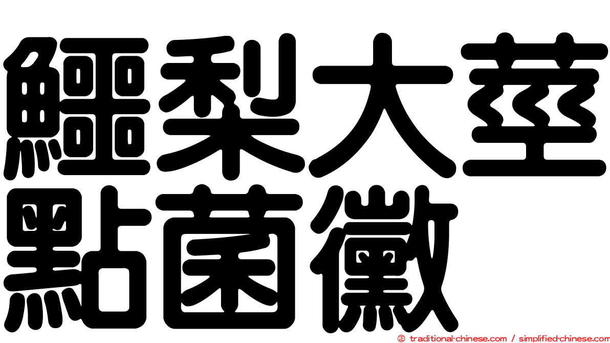 鱷梨大莖點菌黴