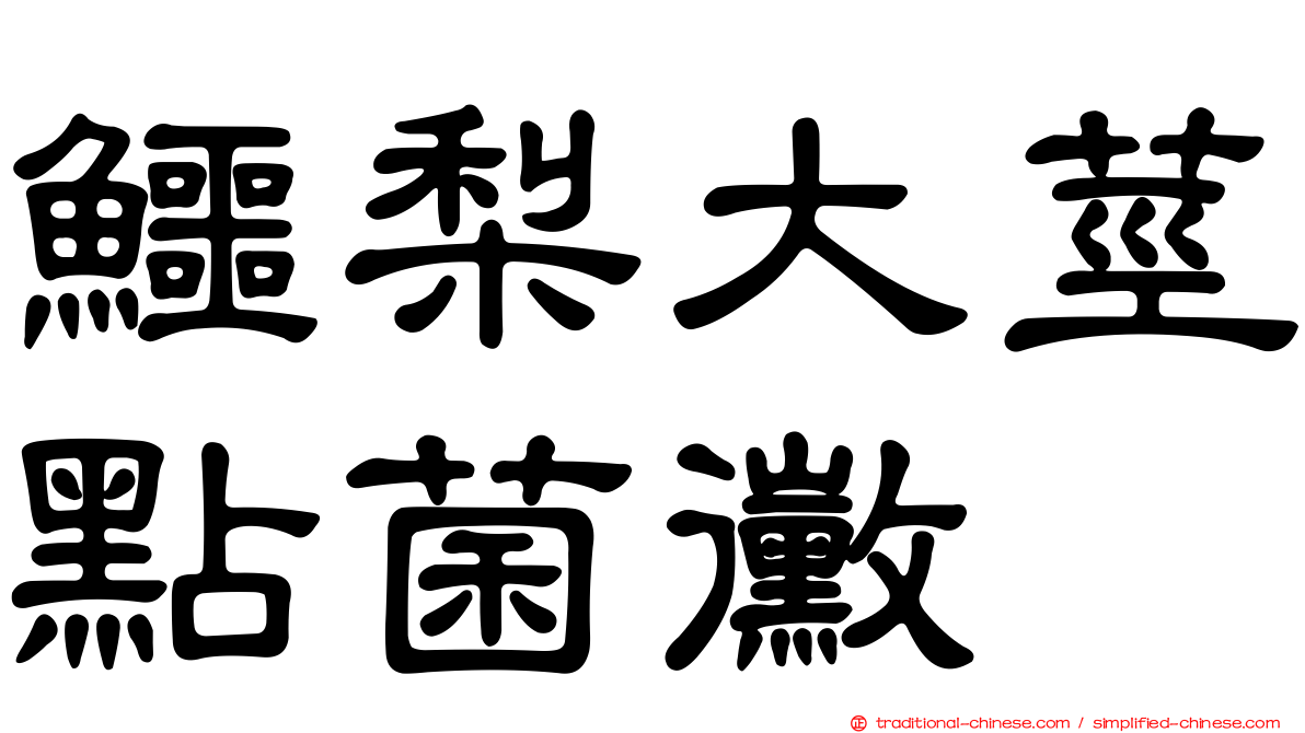 鱷梨大莖點菌黴
