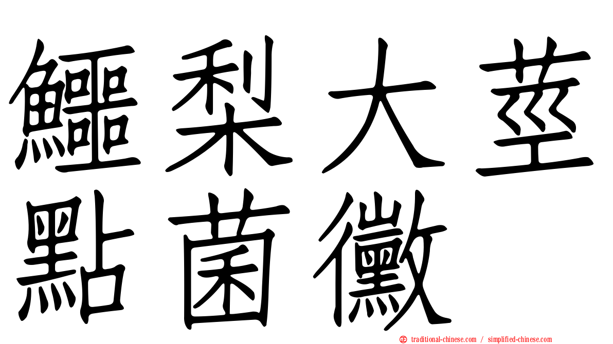 鱷梨大莖點菌黴