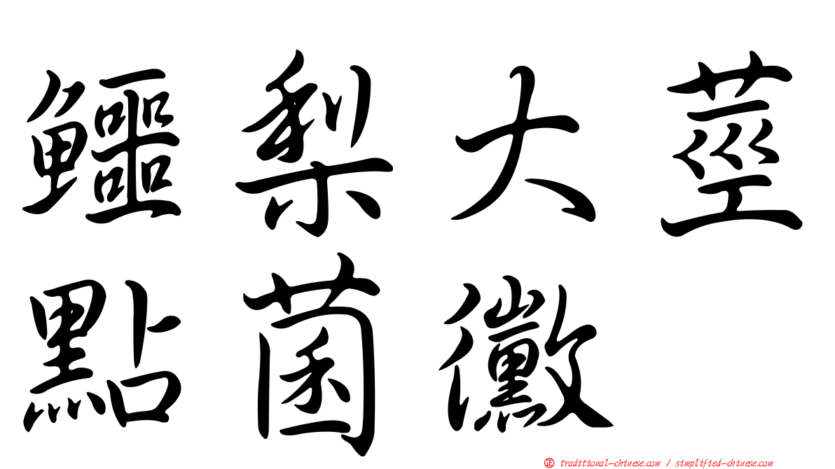 鱷梨大莖點菌黴