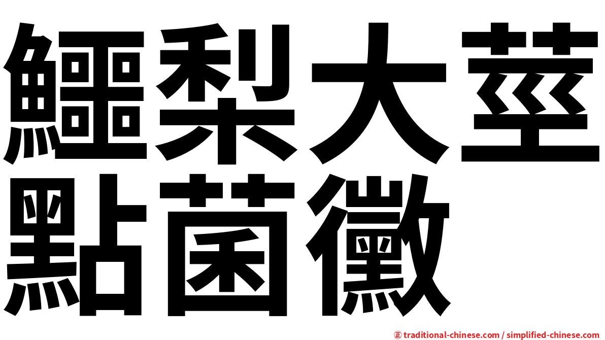 鱷梨大莖點菌黴