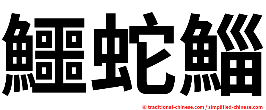 鱷蛇鯔
