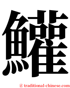 鱹 serif font