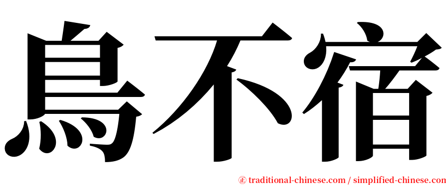 鳥不宿 serif font
