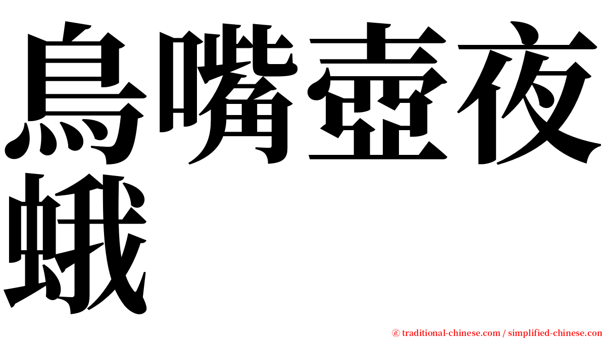 鳥嘴壺夜蛾 serif font