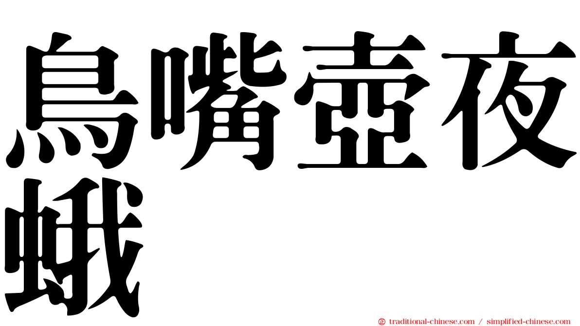 鳥嘴壺夜蛾