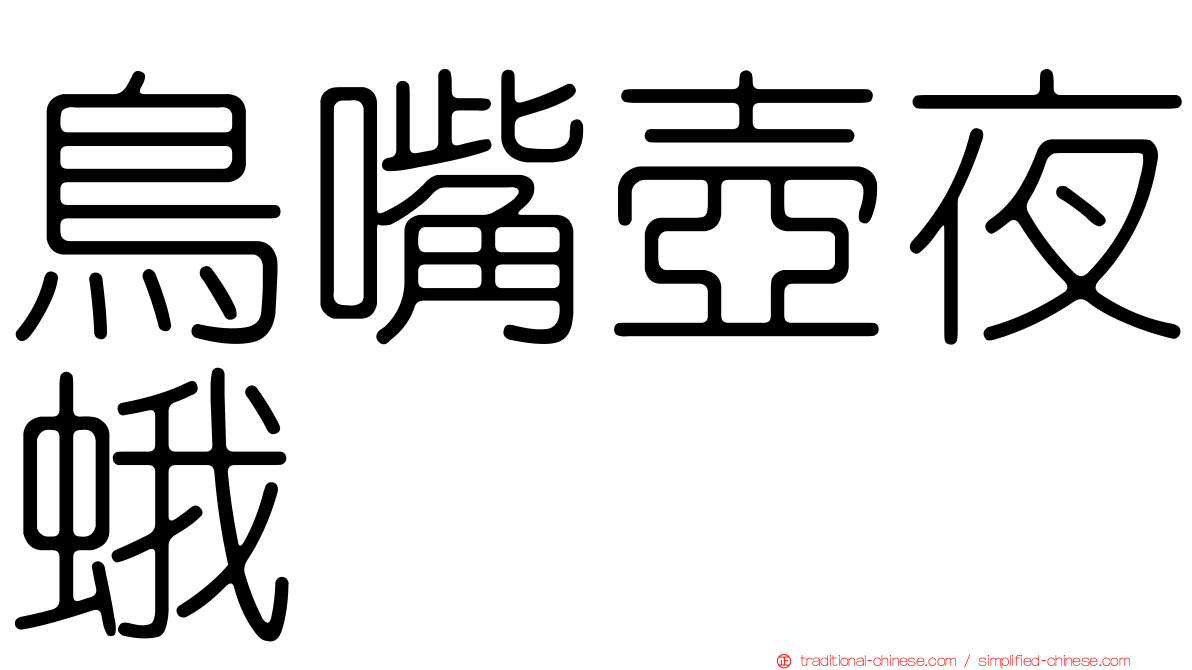 鳥嘴壺夜蛾