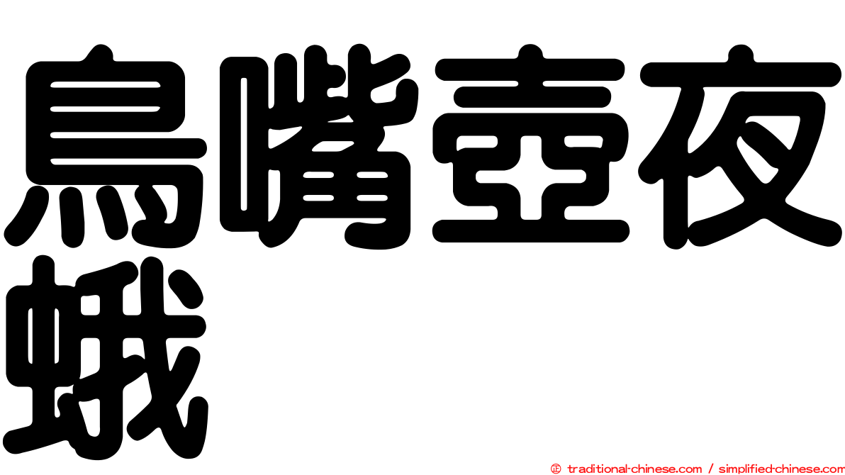 鳥嘴壺夜蛾
