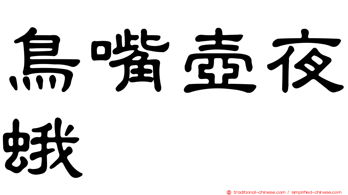 鳥嘴壺夜蛾