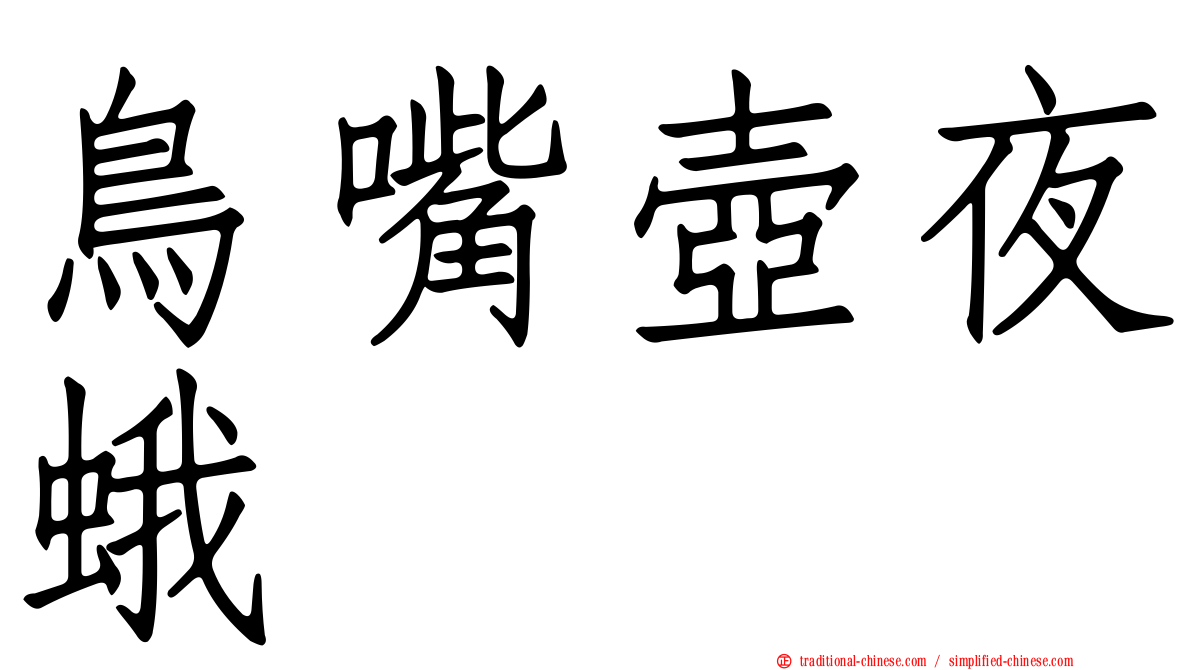 鳥嘴壺夜蛾