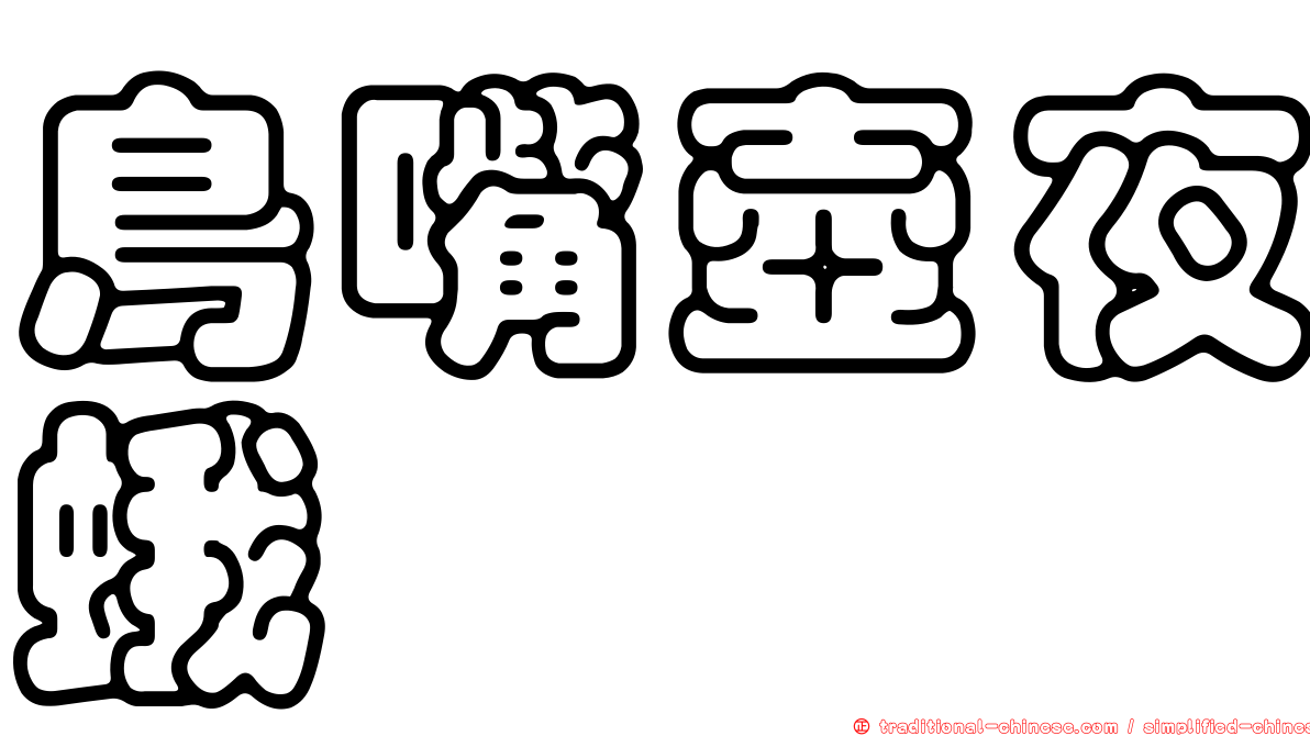 鳥嘴壺夜蛾