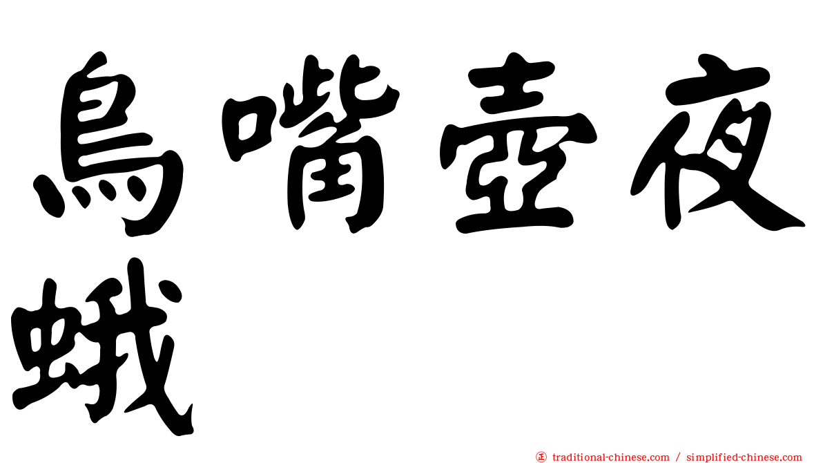 鳥嘴壺夜蛾