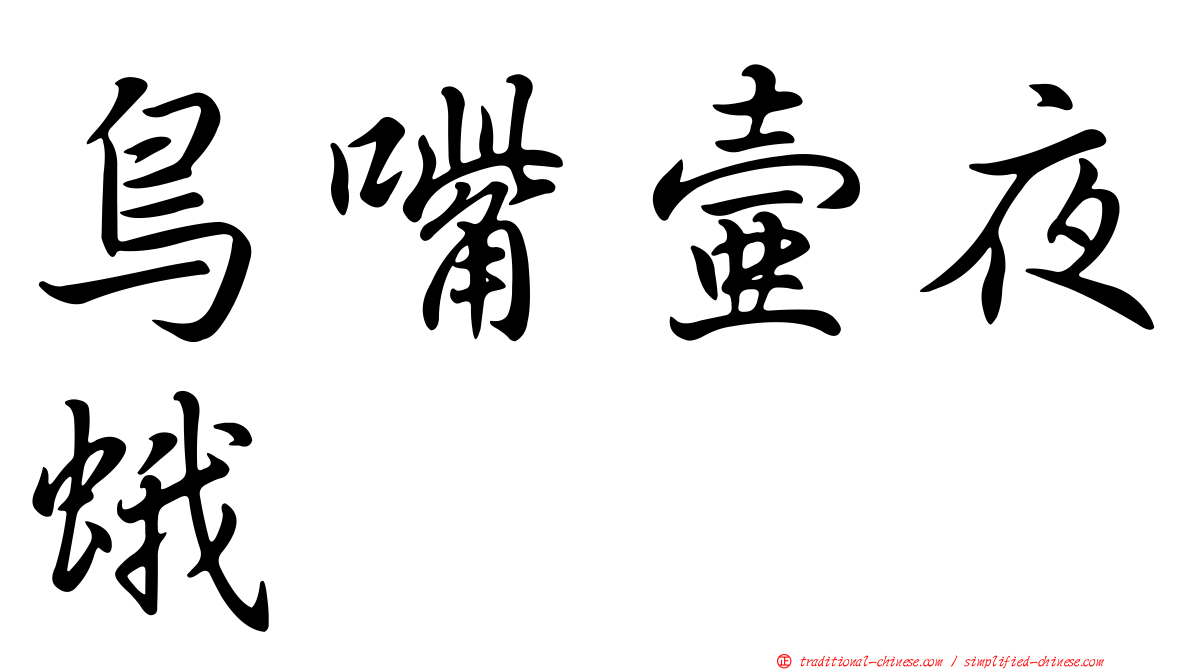 鳥嘴壺夜蛾
