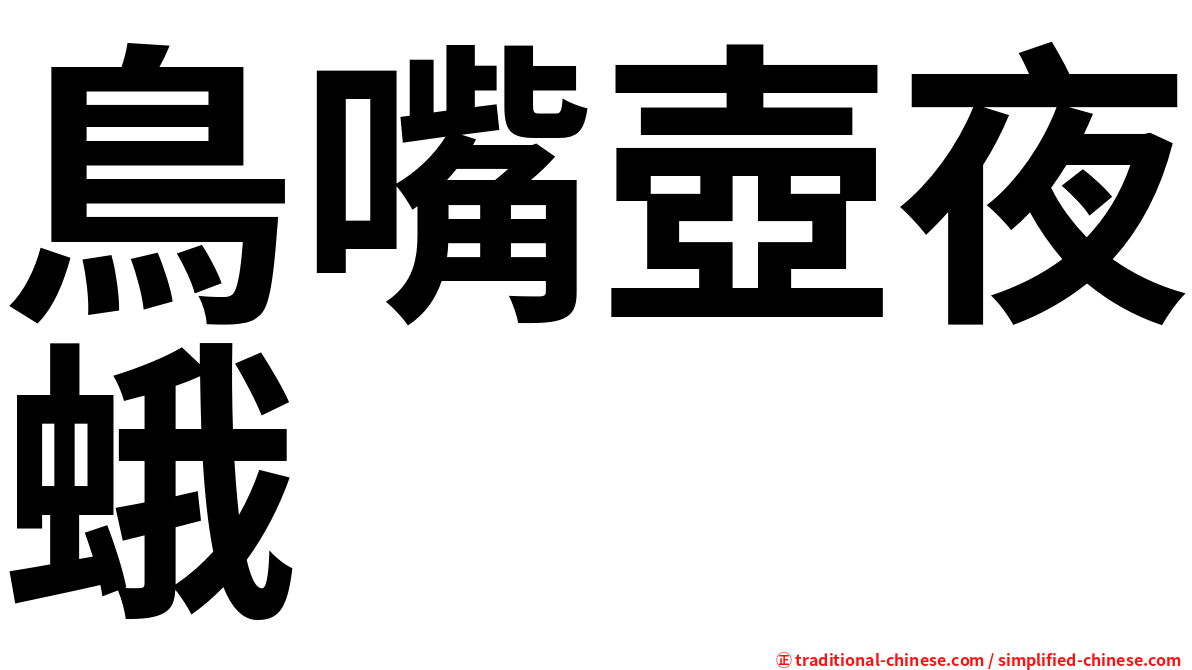 鳥嘴壺夜蛾