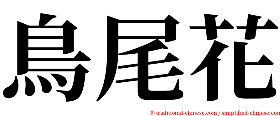 鳥尾花 serif font