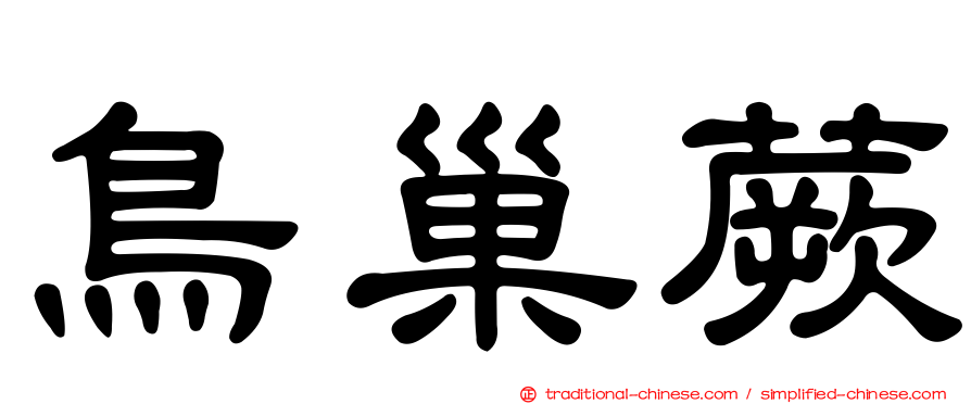 鳥巢蕨