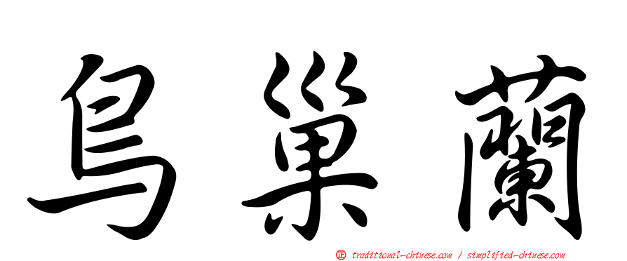 鳥巢蘭