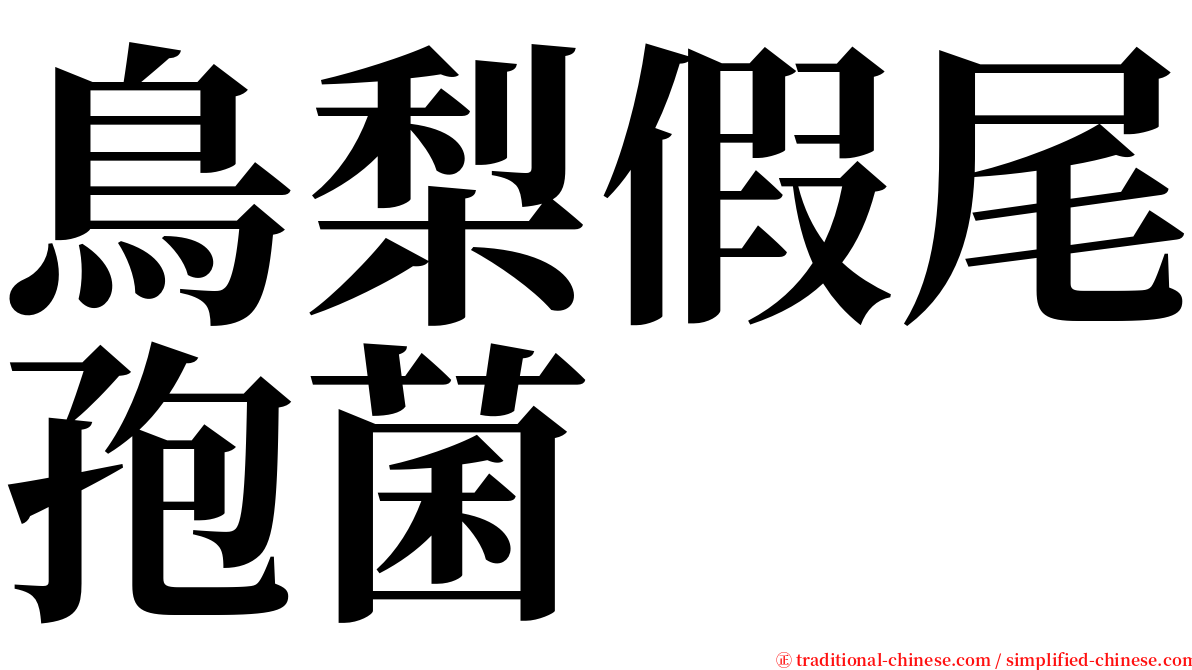 鳥梨假尾孢菌 serif font