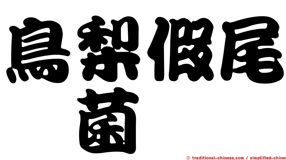 鳥梨假尾孢菌
