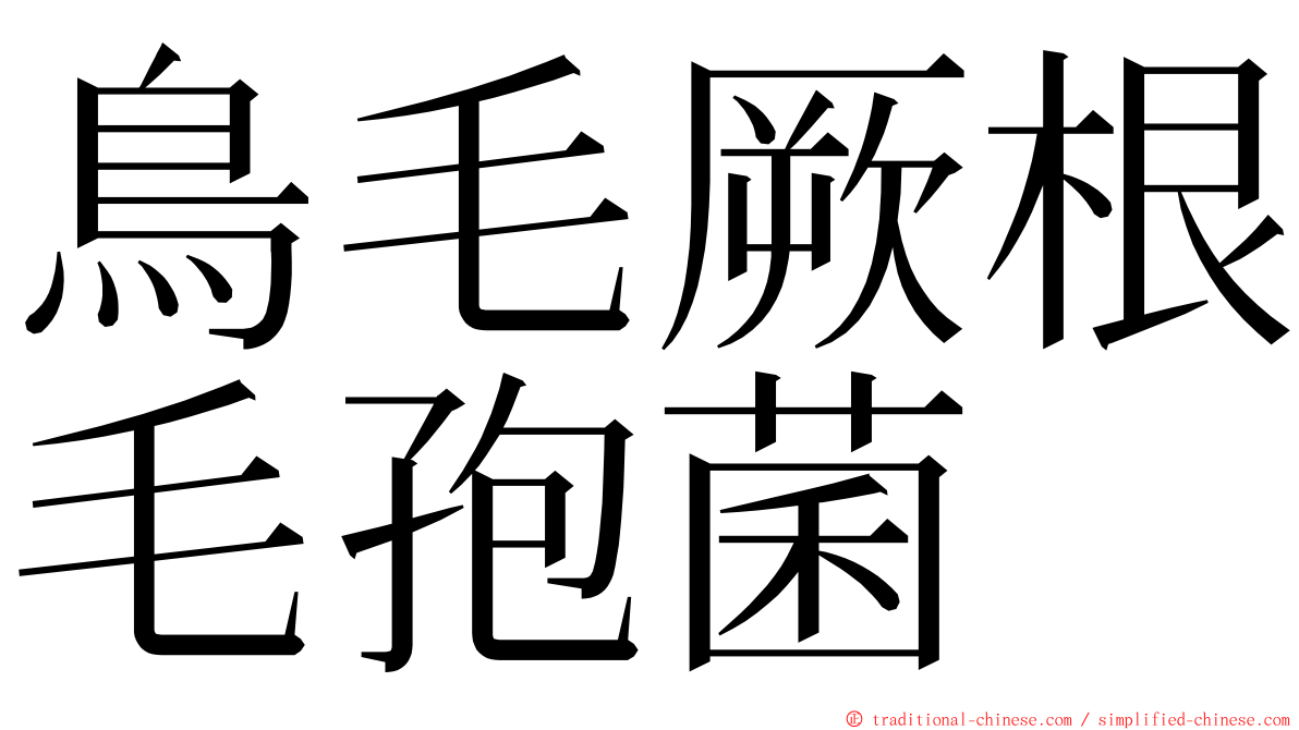 鳥毛厥根毛孢菌 ming font