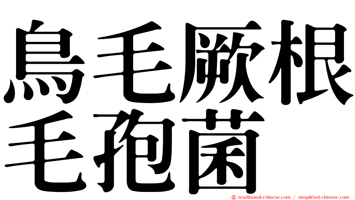鳥毛厥根毛孢菌