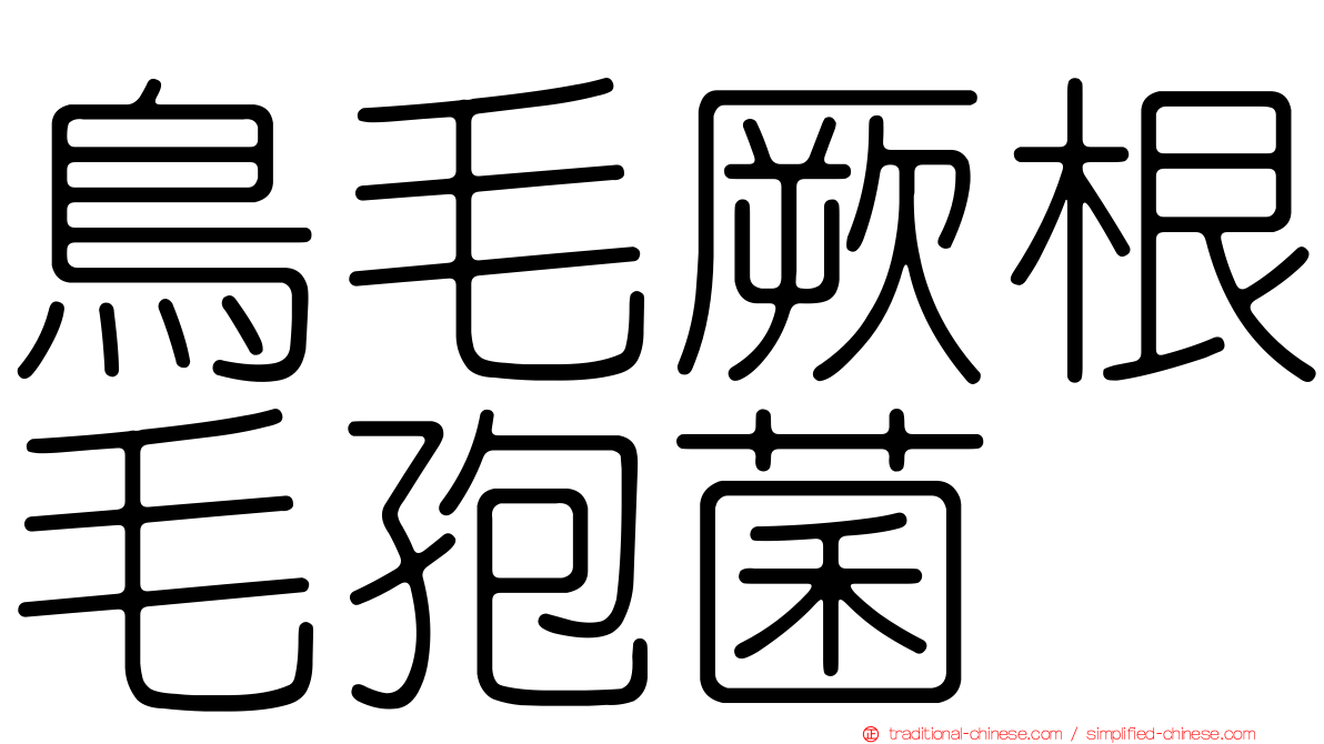 鳥毛厥根毛孢菌
