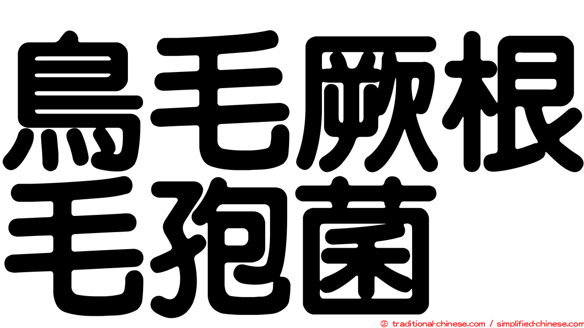 鳥毛厥根毛孢菌